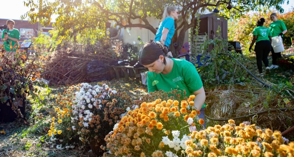 A student works in a garden surrounded by orange mums