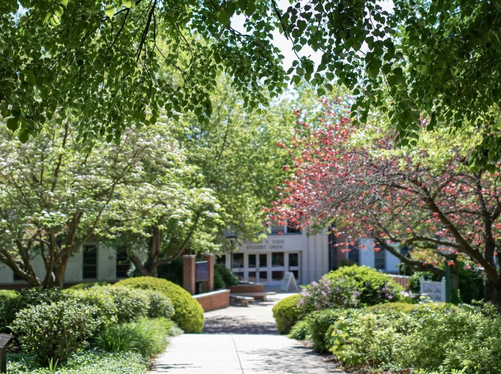 The walkway leading to the Student Union in spring time.