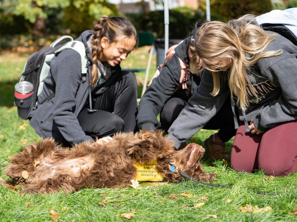 Three students kneel and pet a therapy dog.