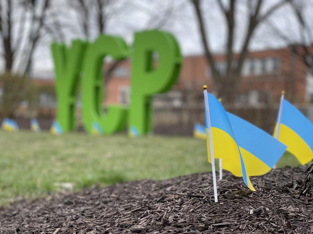 Picture of small Ukraine Flags by the YCP letters on main campus in support of Ukraine 
