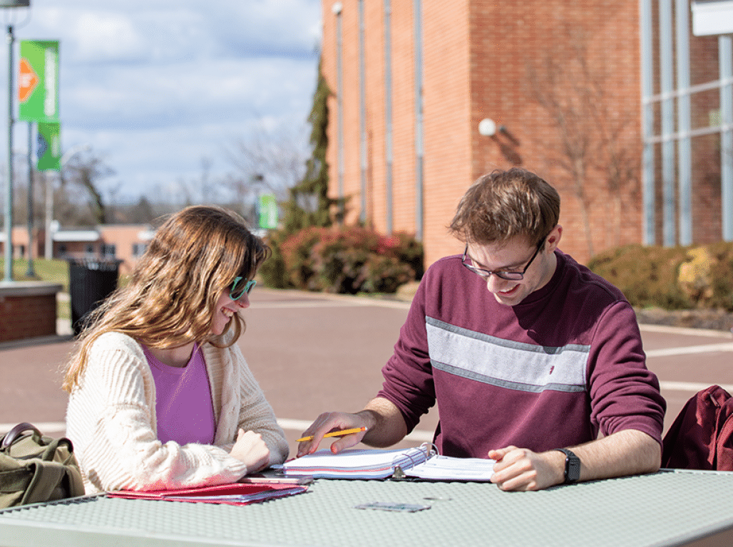 Two students studying outside together on a sunny day.