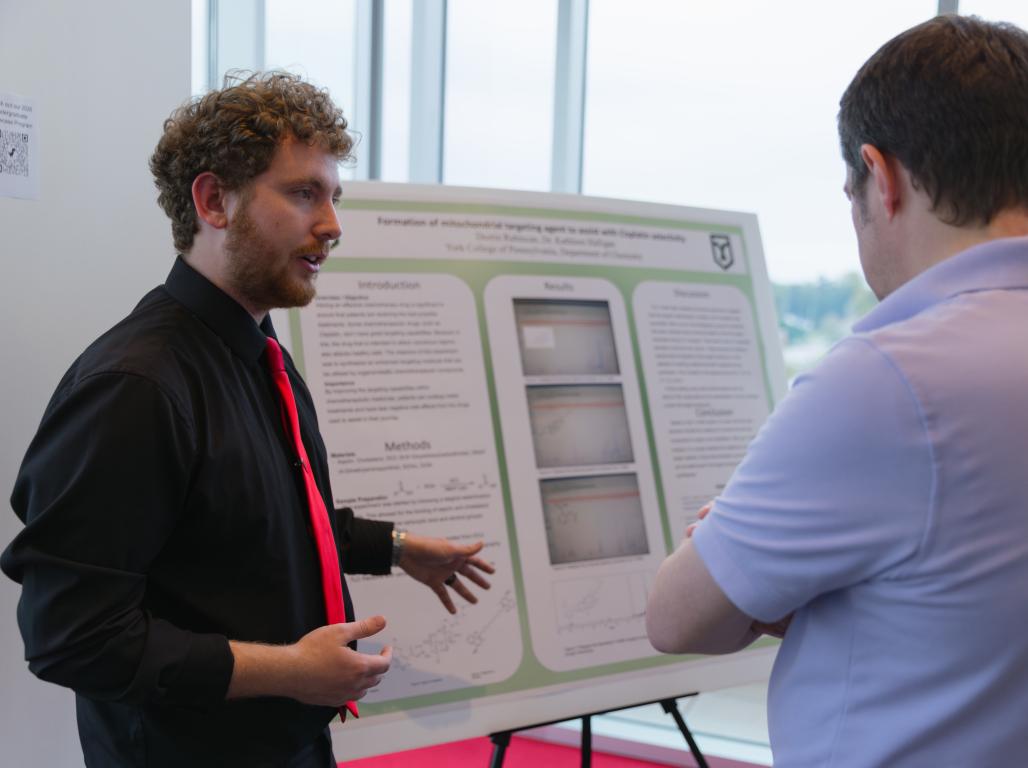 A person wearing a black button-down shirt and red tie gestures toward a poster board while presenting research findings to someone with their back toward the camera.