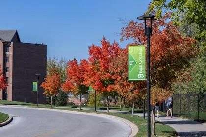 A picture of the path to Northside Commons during the Fall season