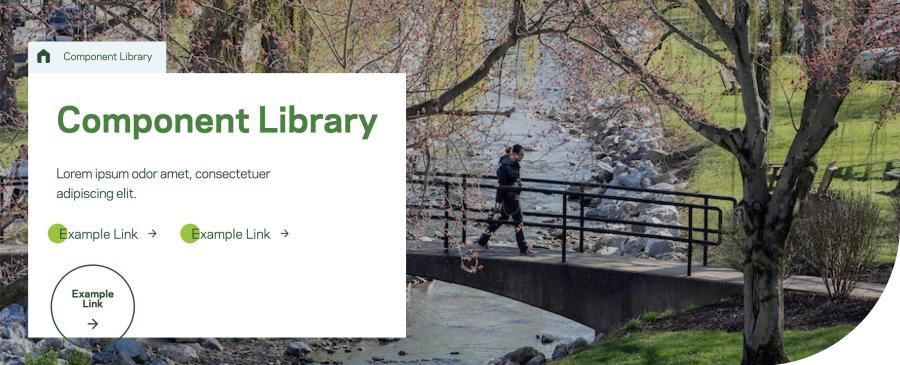 Screenshot of hero component with full-width image, description text, and links