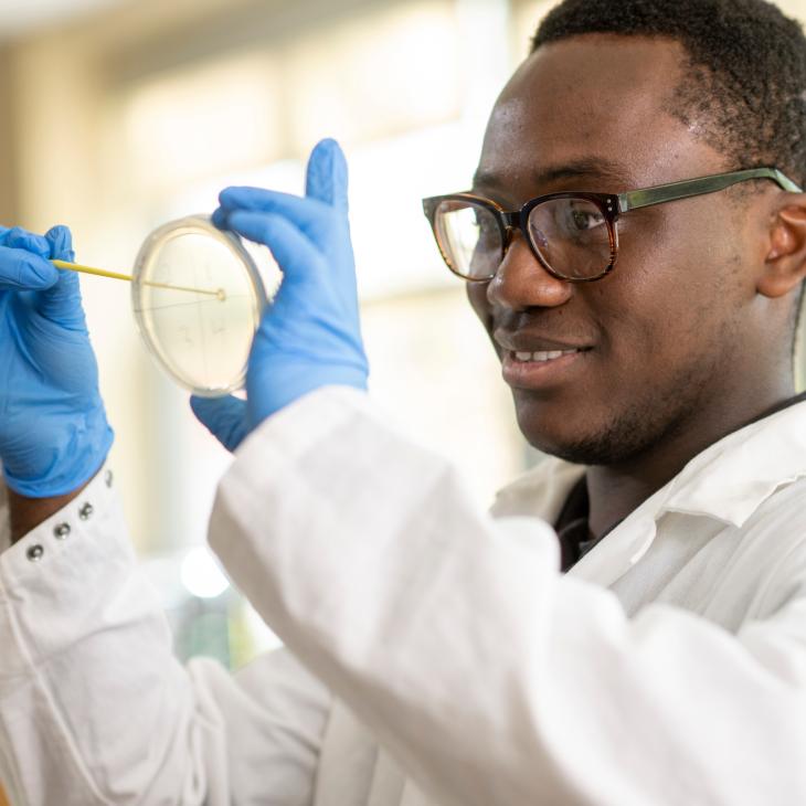 A student swabs a petri dish