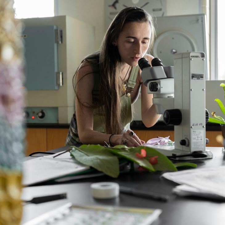 A student is looking through a microscope 