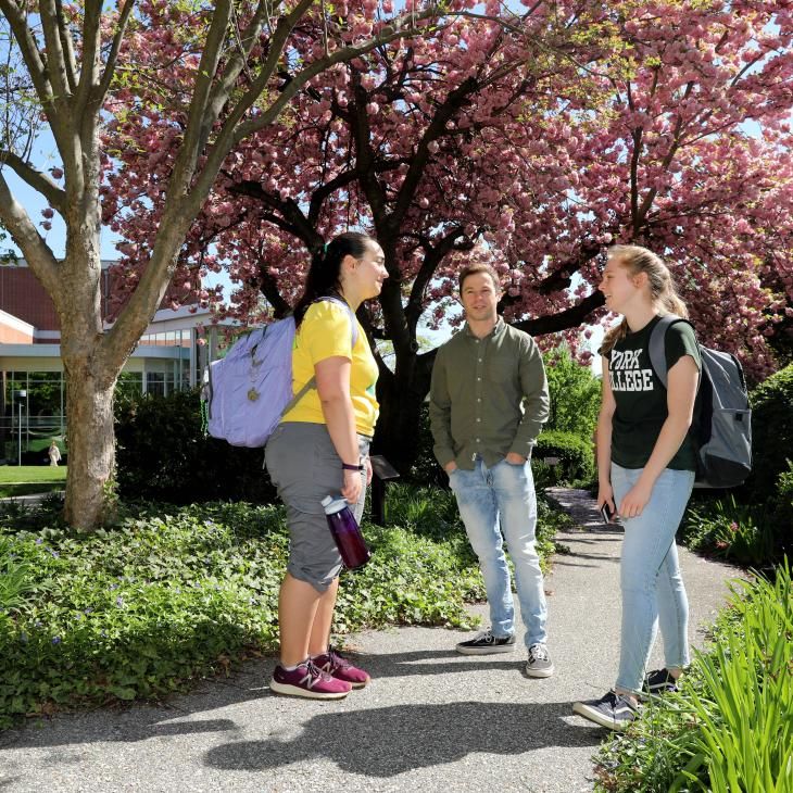Three students converse on a path near some trees and shrubs.