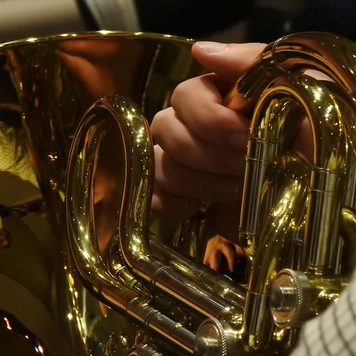 A closeup of a brass instrument and the musician's hand.