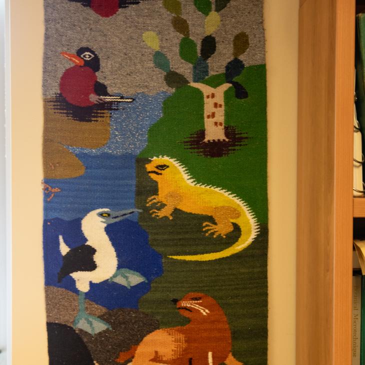 A colorful piece of weaving hangs in the office. It depicts numerous species of animals of the Galapagos Islands.