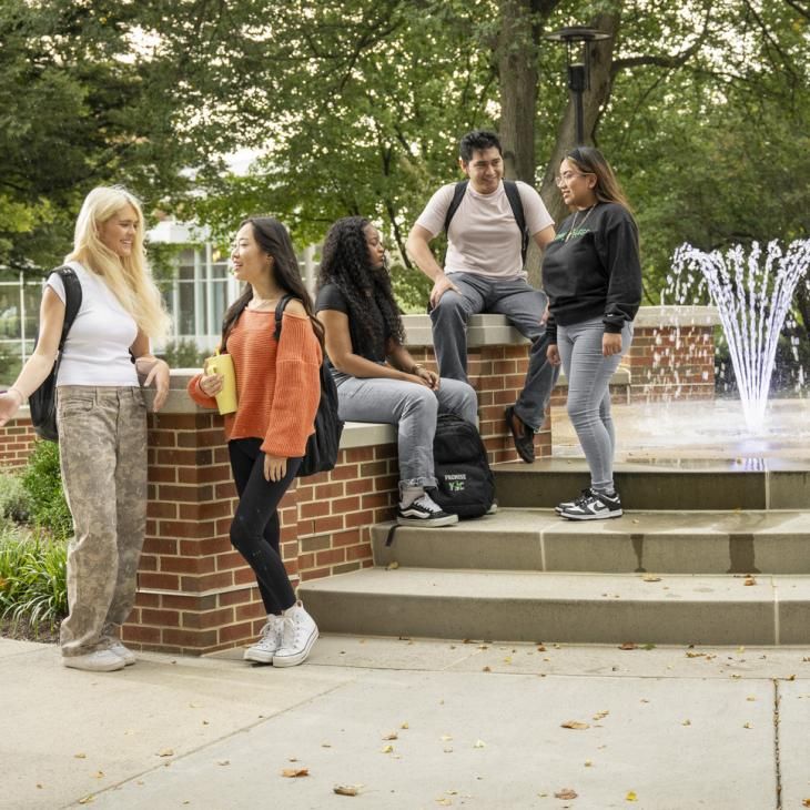 A group of students talking near the fountain.
