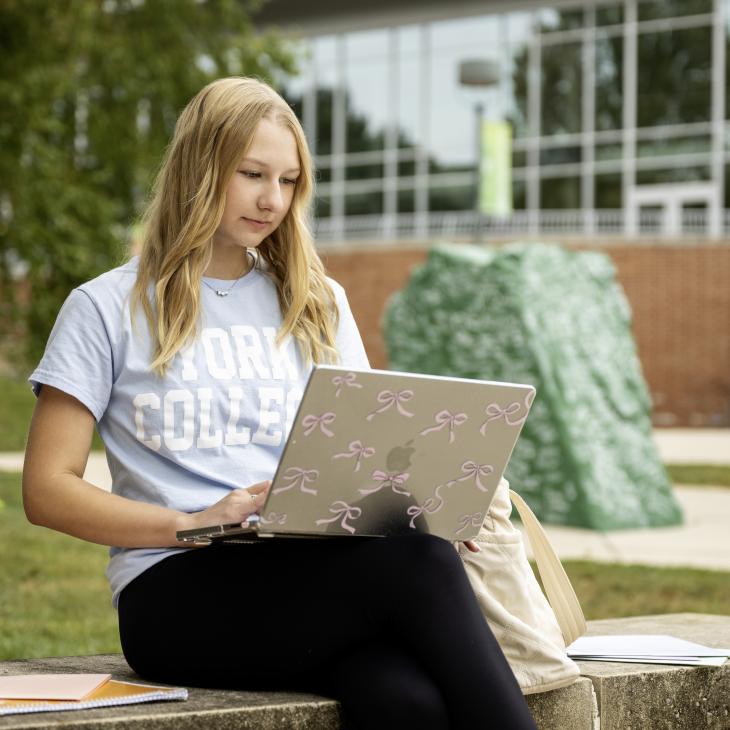 A student with a laptop near the rock.