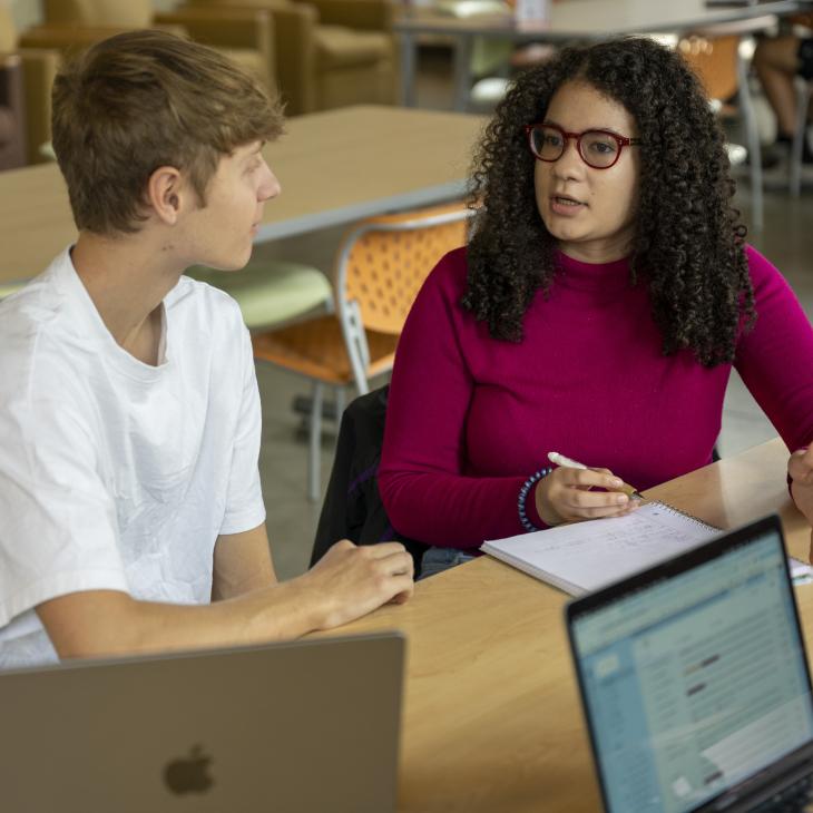 Two students studying together at a desk.
