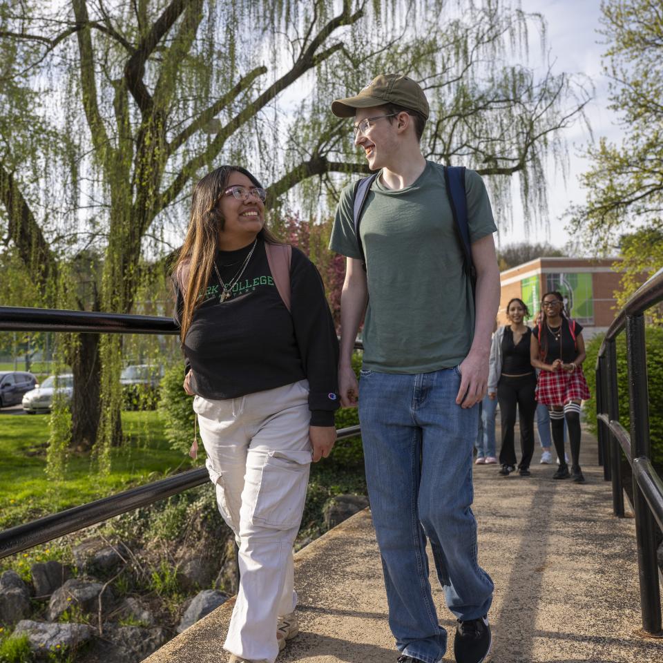 Students walk together across campus over the bridge.