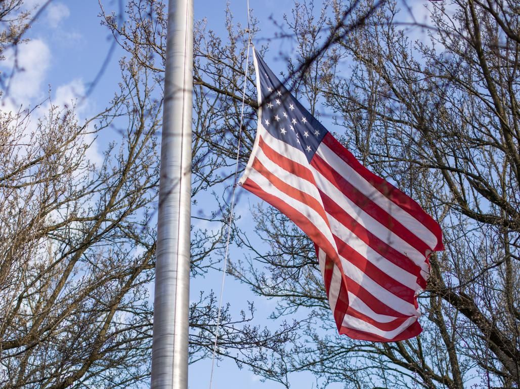 American flag on a poll with budding trees and sky visible in the background.